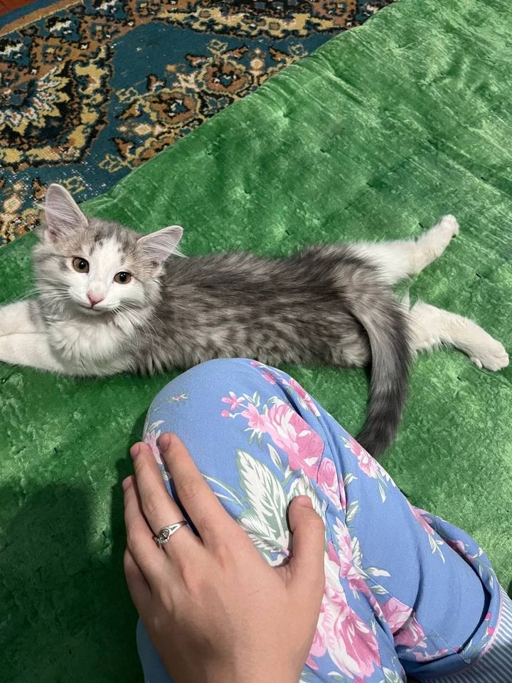 300 000 сум