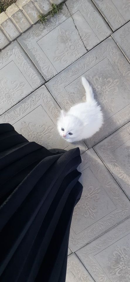 120 USD