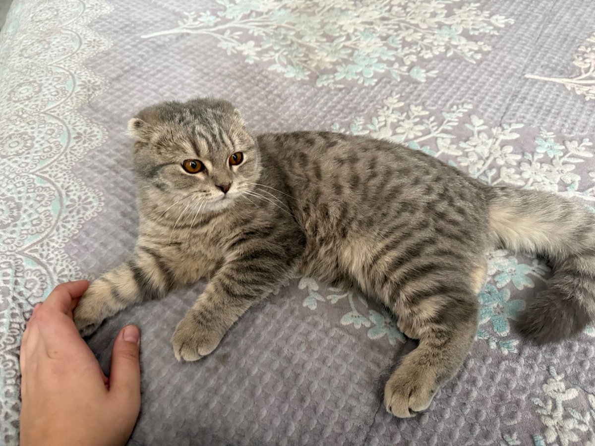1 000 000 сум
