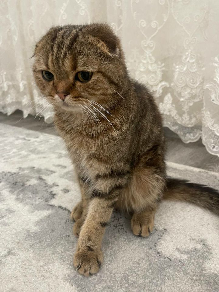 500 USD