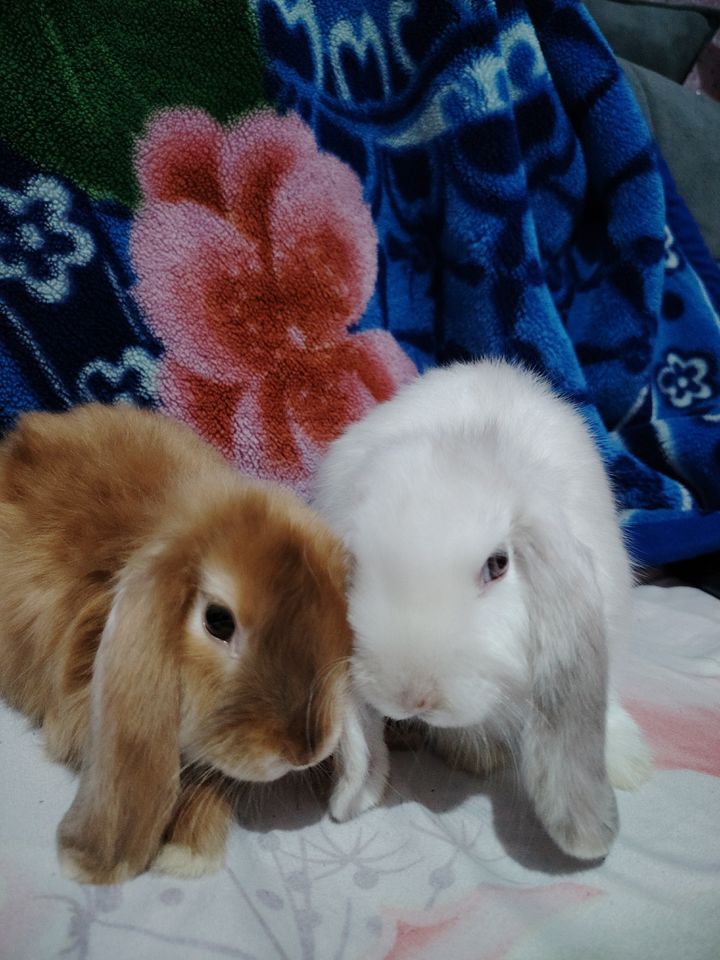 200 000 сум