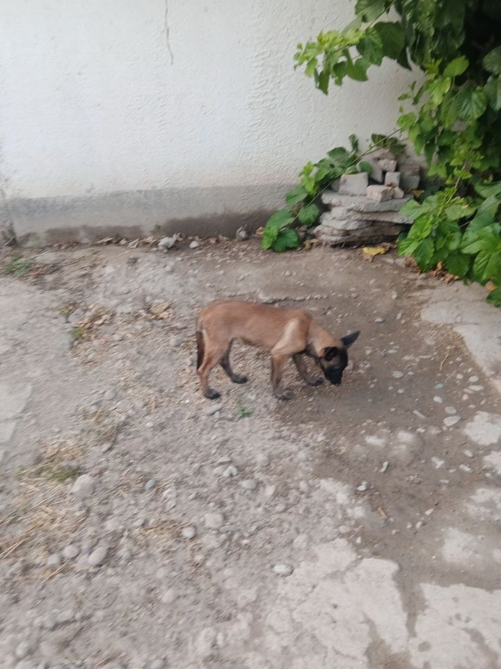 2 500 000 сум