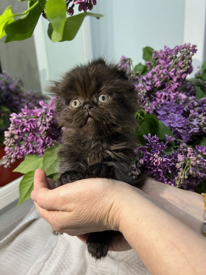 1 000 000 сум