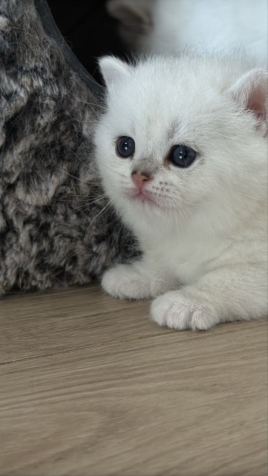 400 USD