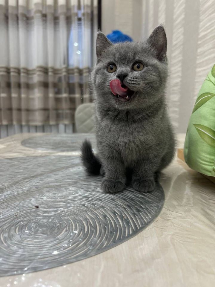 3 000 000 сум