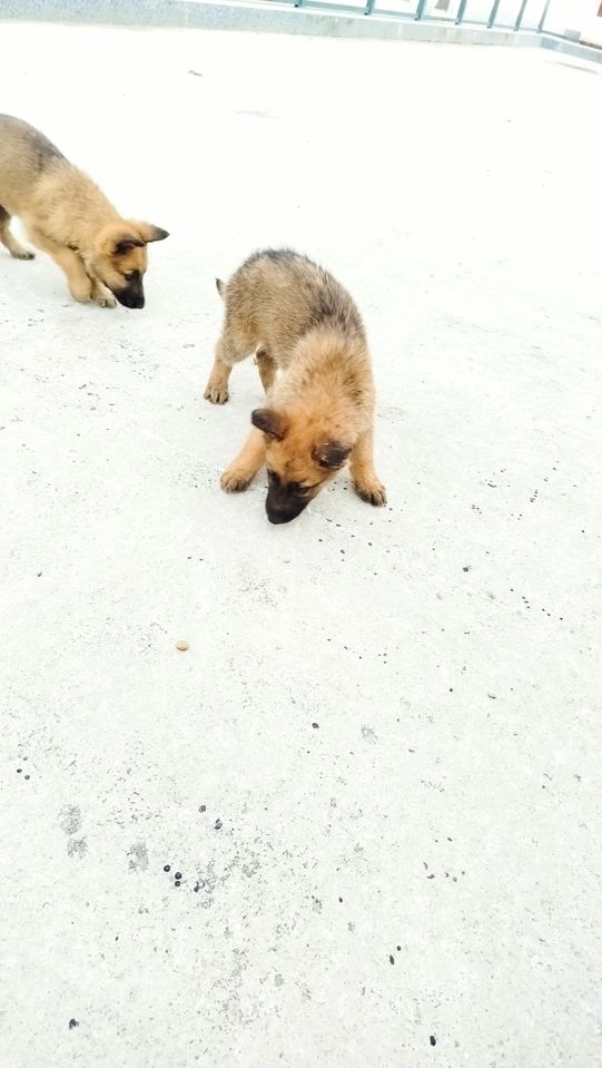 1 500 000 сум