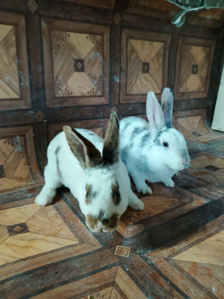 800 000 сум