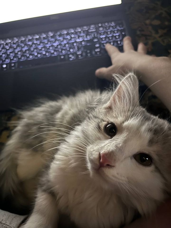 300 000 сум