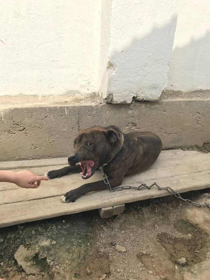 130 USD