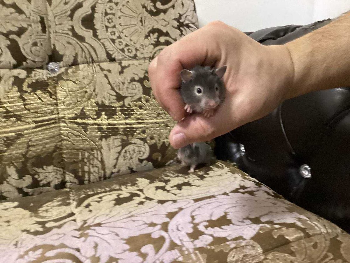 25 000 сум
