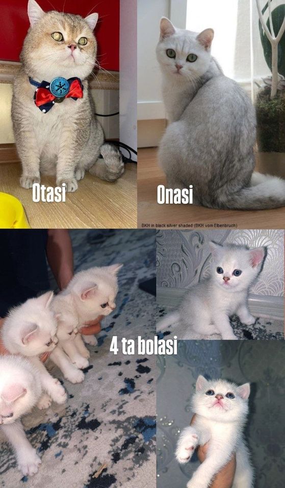 700 000 сум