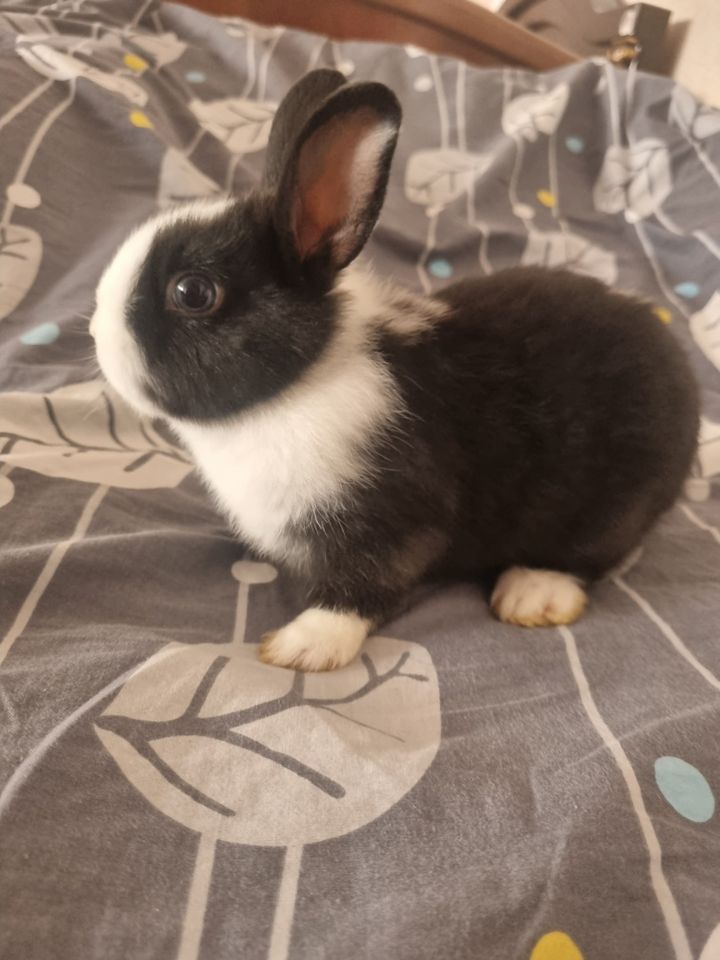 200 000 UZS