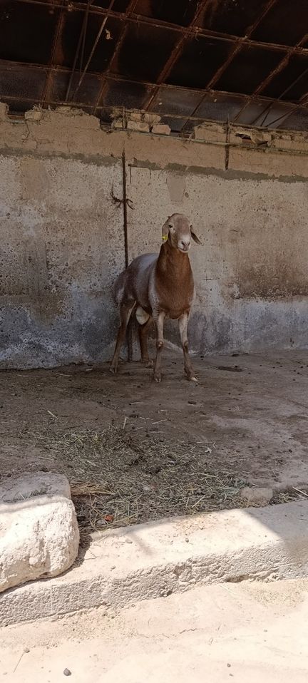 1 100 USD