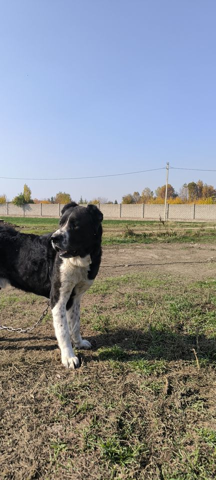 3 000 000 сум