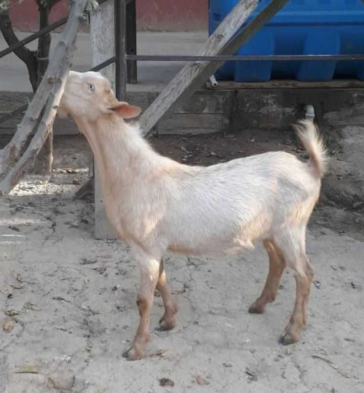 150 USD