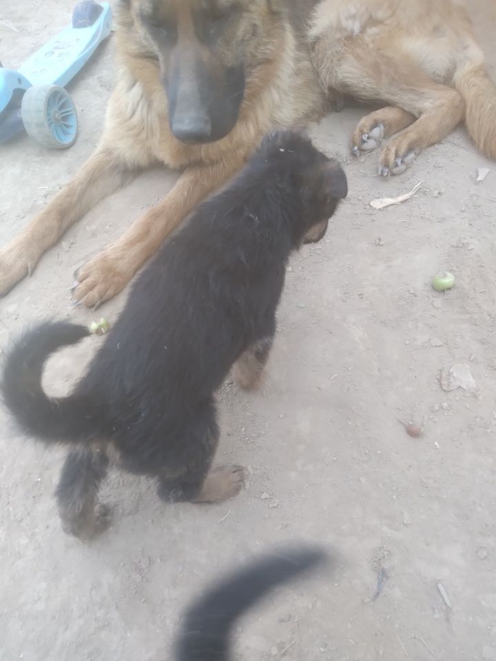 1 000 000 UZS