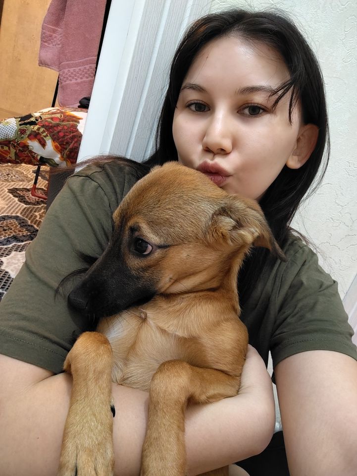 Бесплатно