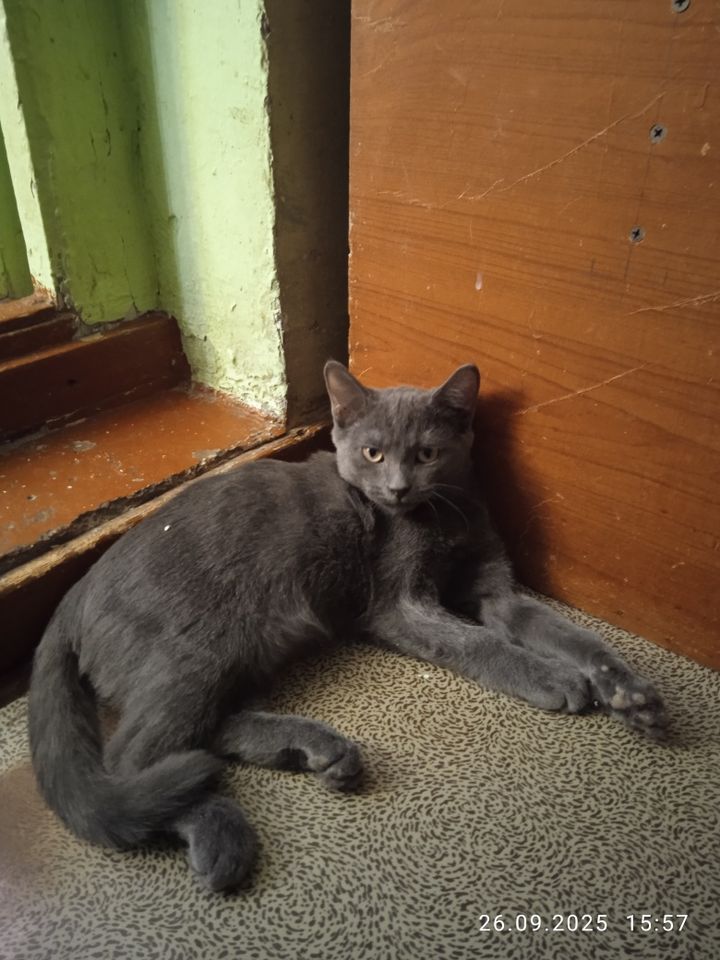 1 200 000 сум