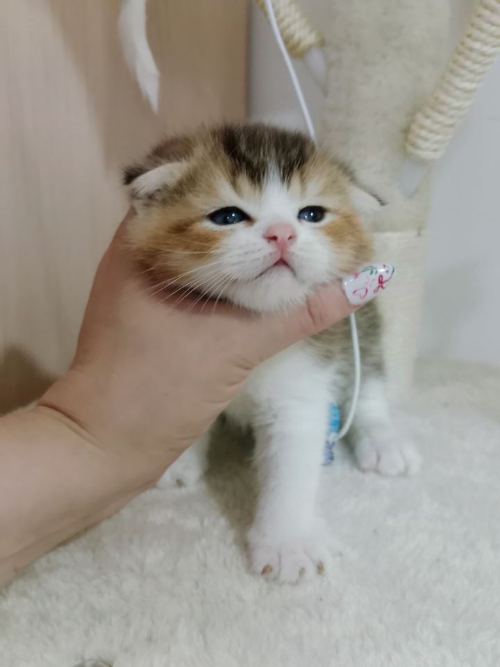 300 000 сум