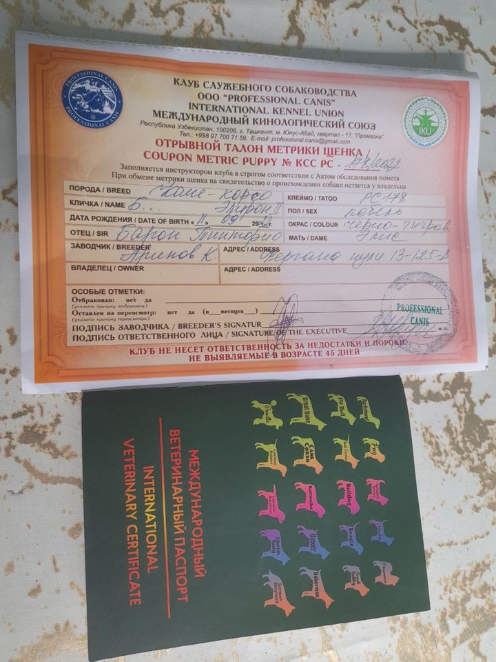 800 USD