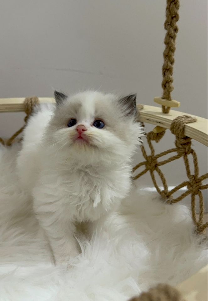 1 500 USD