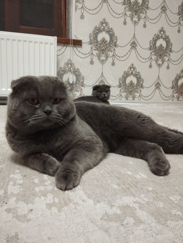 1 000 000 сум