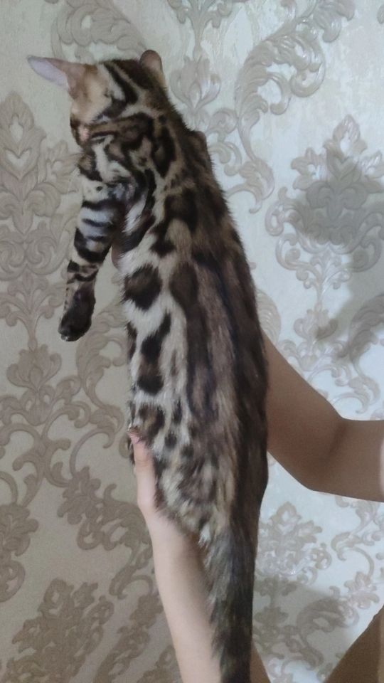 350 USD