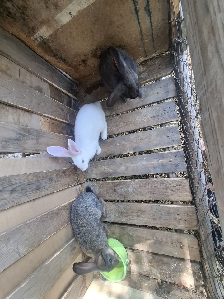 130 000 сум