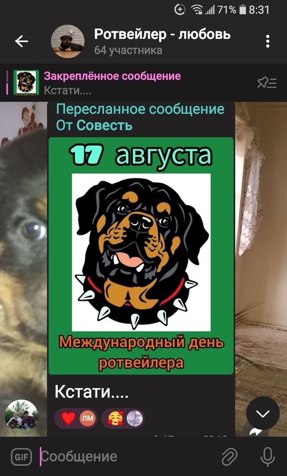 85 USD