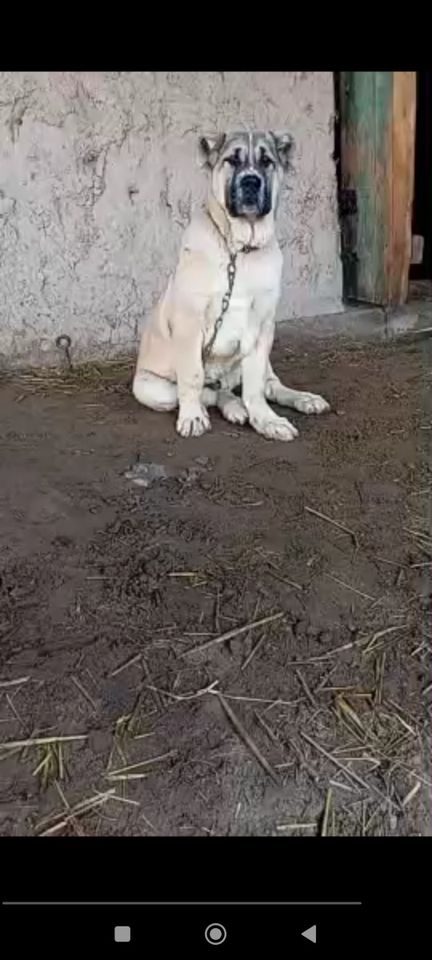 800 USD