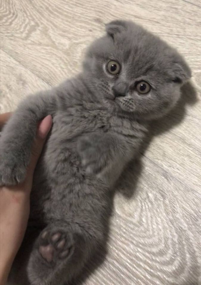 120 USD