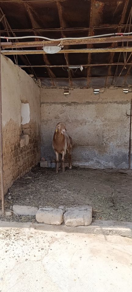1 100 USD