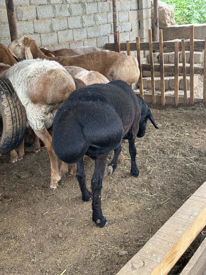 90 000 сум