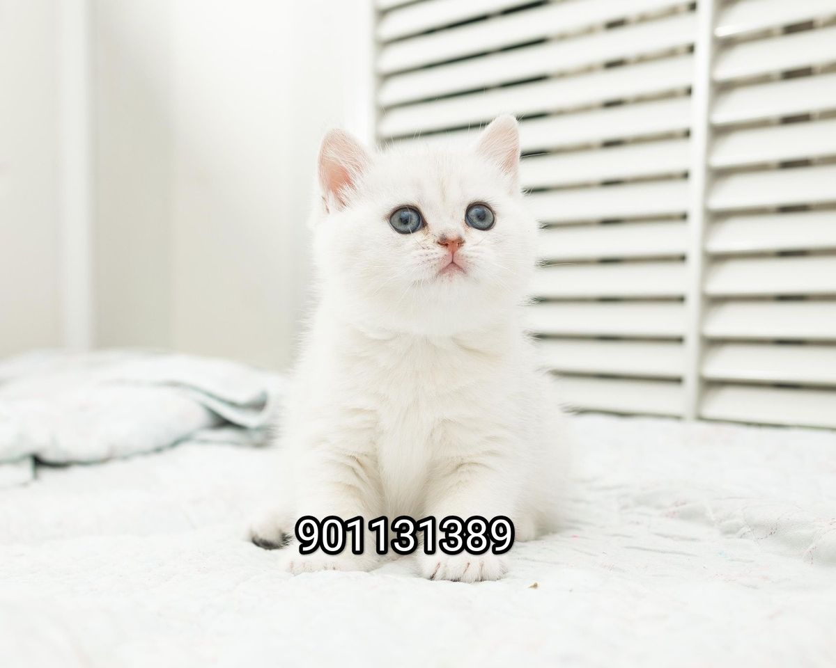 260 USD