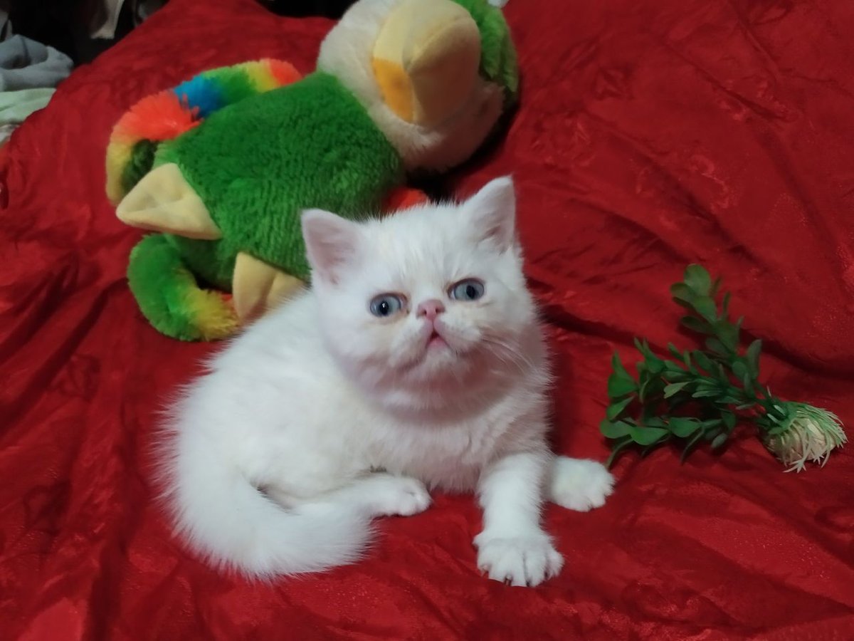 70 USD