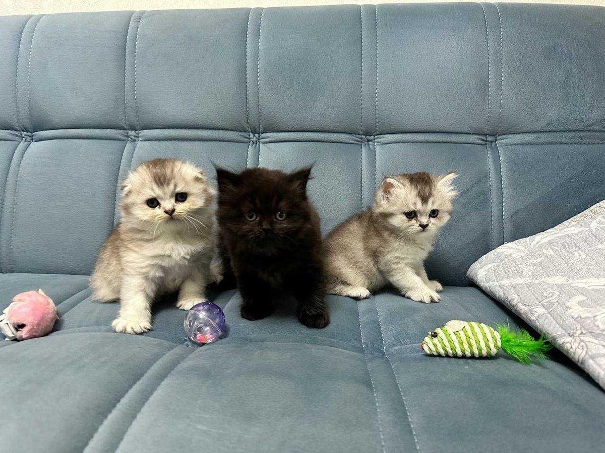 1 500 000 сум