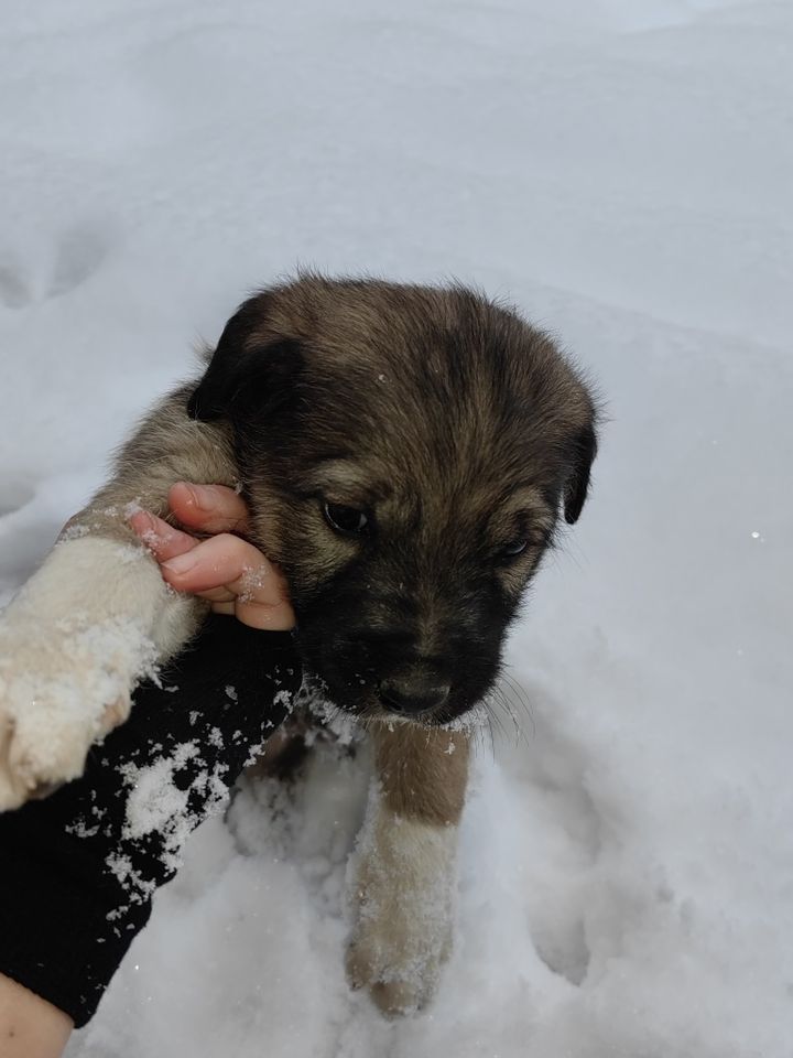 900 000 сум