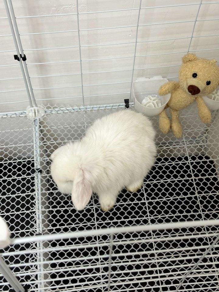 200 000 UZS