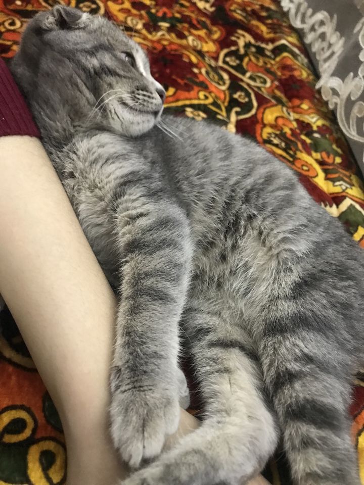 1 200 000 сум