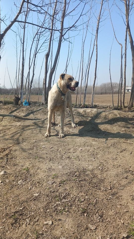 3 000 000 сум