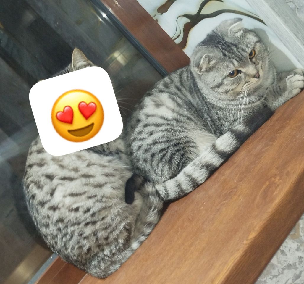 800 000 сум