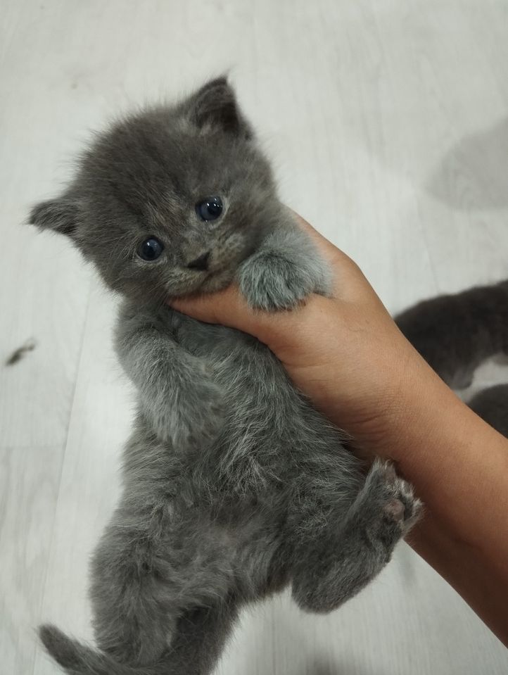 1 000 000 сум