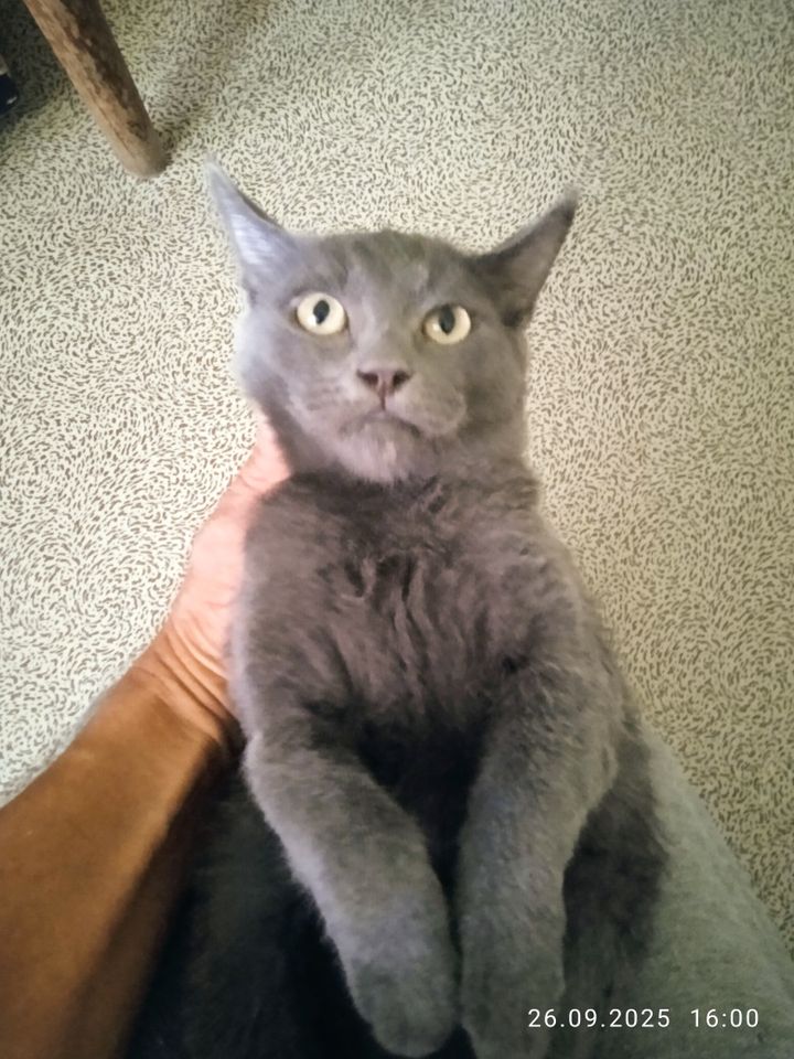 1 200 000 сум
