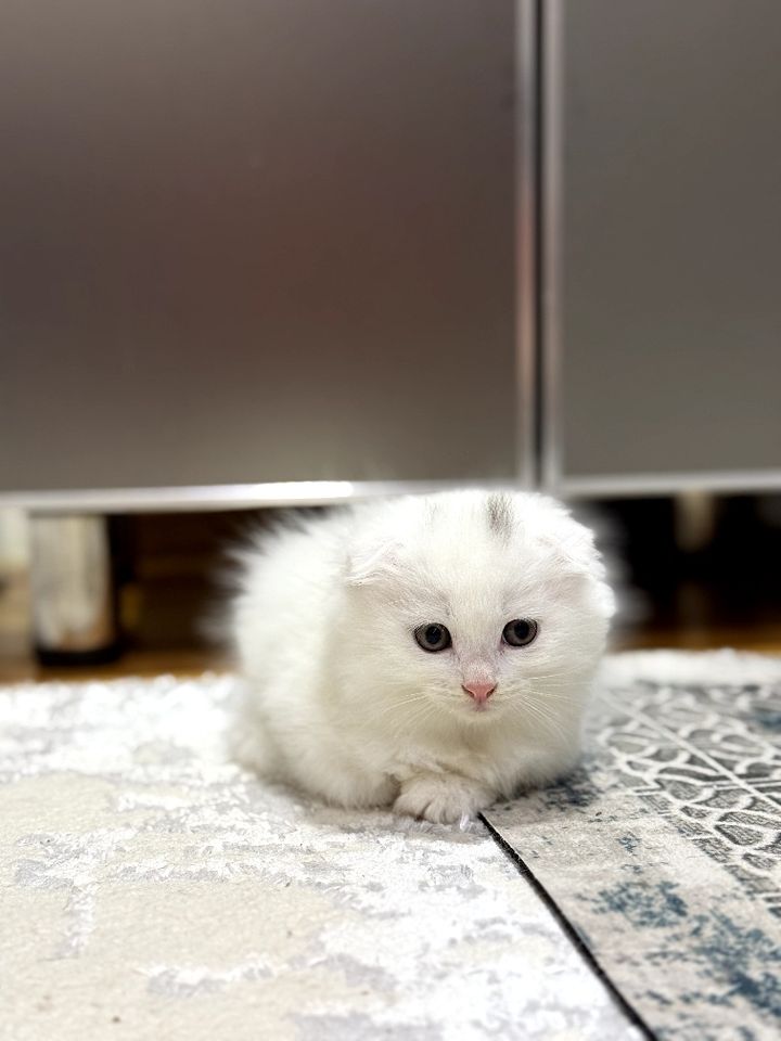 1 300 000 сум