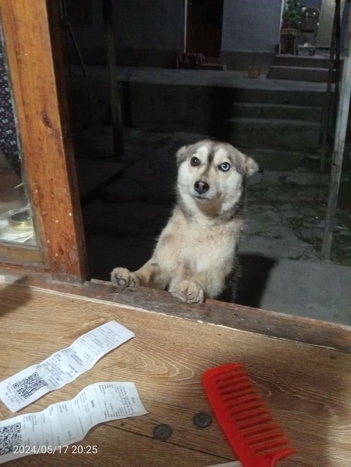 1 000 000 сум