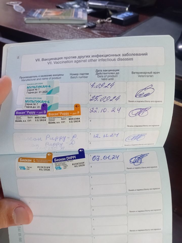 6 000 000 UZS