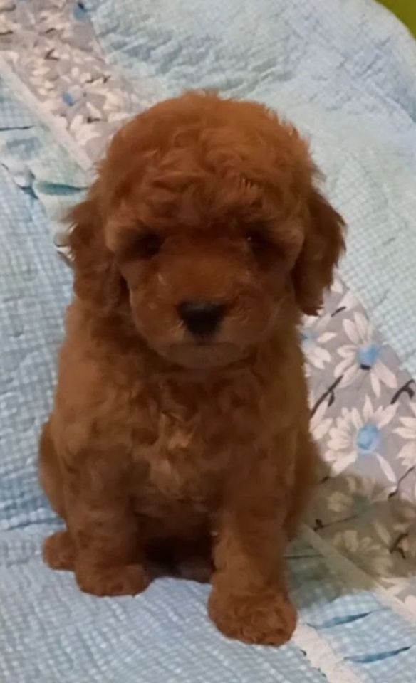 700 USD