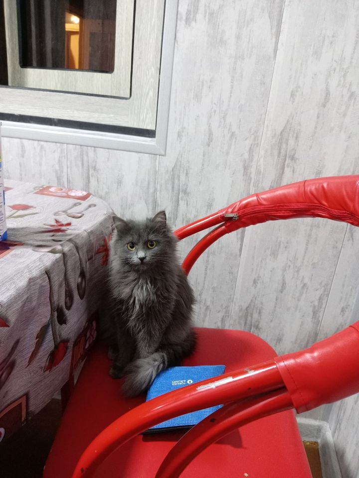 800 000 сум