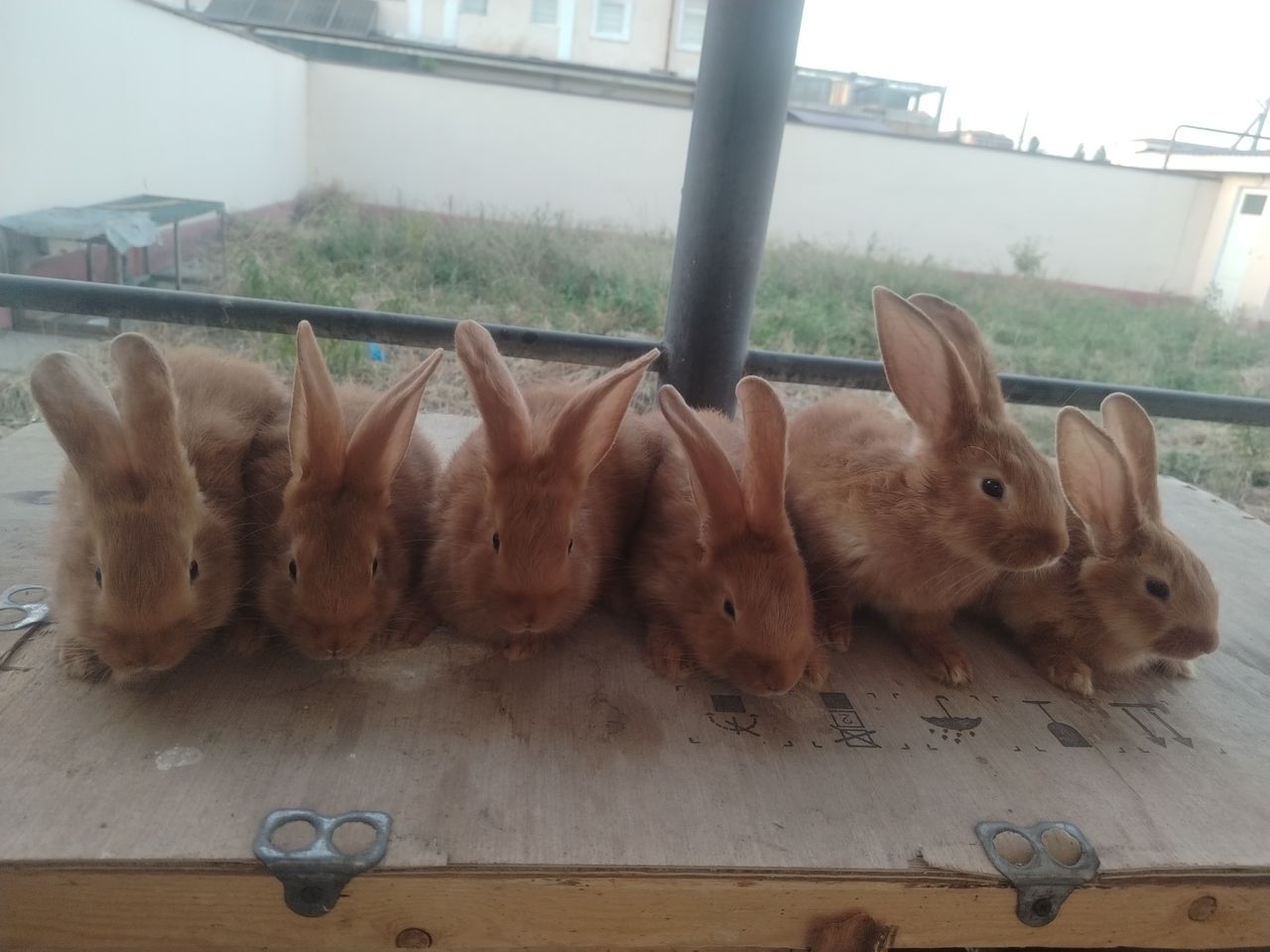 100 000 сум