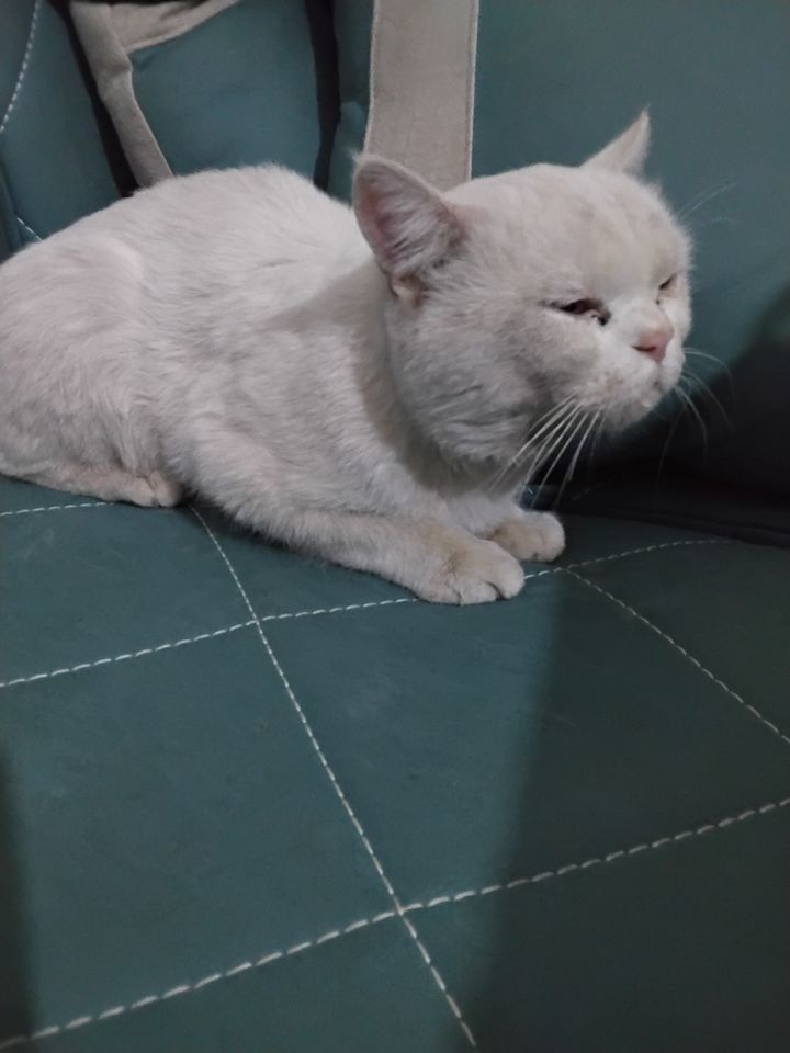 60 USD